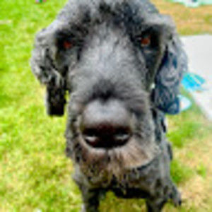 Meet your Posher, Karina